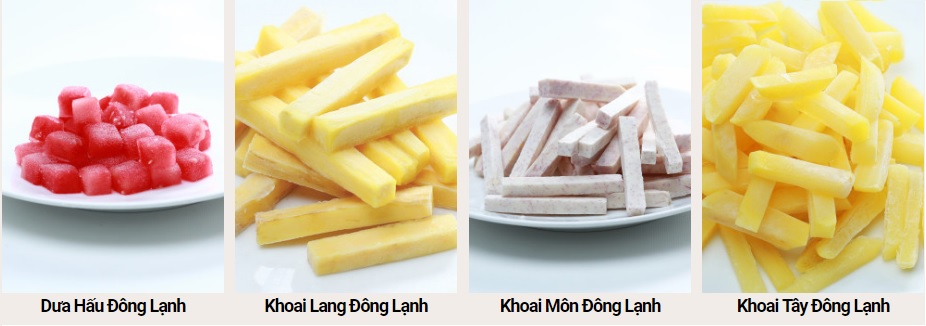 QUÁ TRÌNH LẠNH ĐÔNG ẢNH HƯỞNG ĐẾN CHẤT LƯỢNG SẢN PHẨM SẤY THĂNG HOA